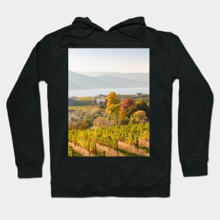 Okanagan Valley Vineyards in October Hoodie